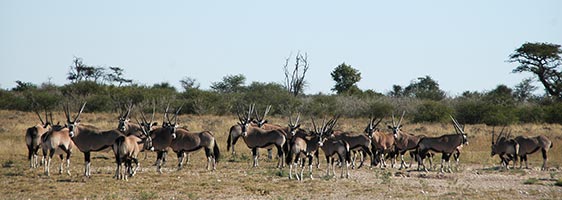 Botswana