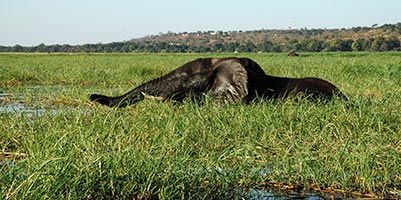 Botswana