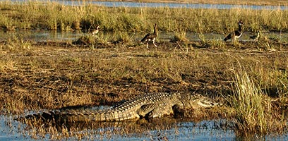 Botswana