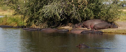 Botswana